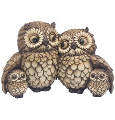 Meet the Hooters Twin Owls Two Babies Ornament, a must-have for any owl