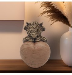 Fall in love with Hughie Highland Cow W/heart, the cutest addition to your home decor