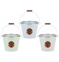 A charming bucket planter in 3 assorted designs, 