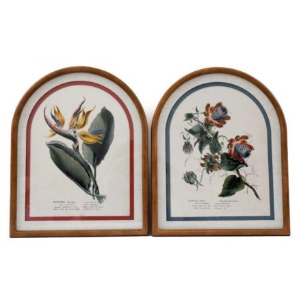 Madagascar Arch Frame Wall Art 2/a