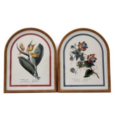 Madagascar Arch Frame Wall Art 2/a