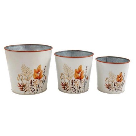 Set of 3 Autumnal Planters