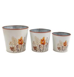 Set of 3 Autumnal Planters