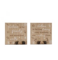 Add some autumn charm to your home with our delightful mushroom plaques 
