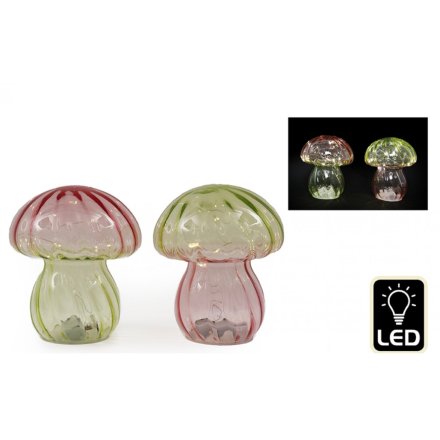 2/A Pink & Green Mushroom LED Light 