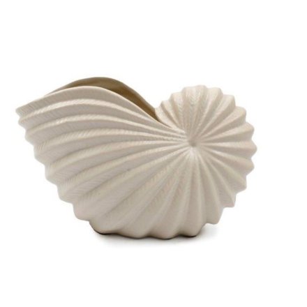 21.5cm Conch Shell Vase