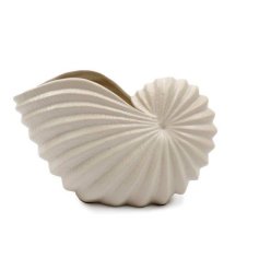 21.5cm Conch Shell Vase