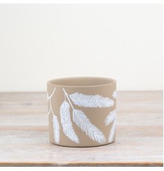 A eye catching planter suitable for all house holds plants 
