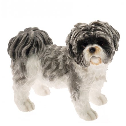 Shih Tzu Dog, 10cm