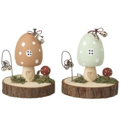 2/A Toadstool House, 9.5cm