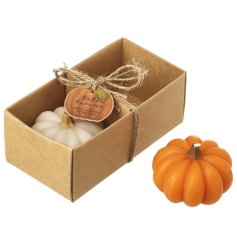 A charming candle set featuring two pumpkin shaped candles wrapped in cardboard packaging with jute twine