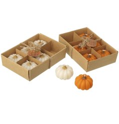 2/A Pumpkin Candles 2 Sets, 13.8cm 