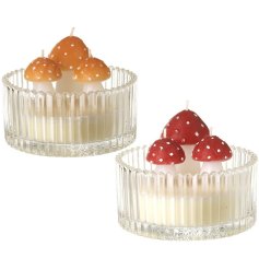 2/A Mushroom Candles, 10.7cm 