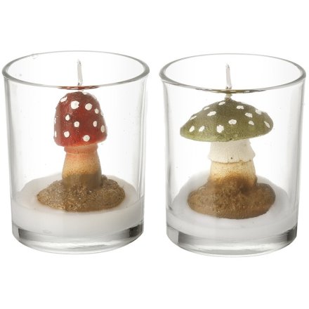 2/A Wax Candle Mushroom in Glass, 11.5cm 