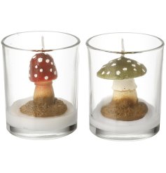 2/A Wax Candle Mushroom in Glass, 11.5cm 
