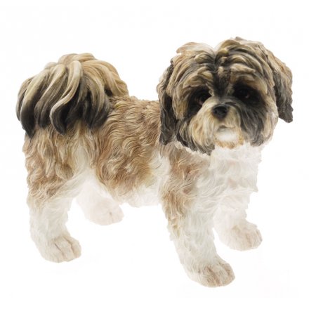 Shih Tzu Dog Brown, 10cm