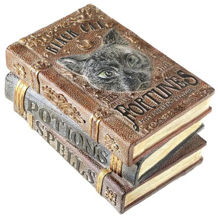 Black Cat Fortunes Potions Spells Books, 20cm