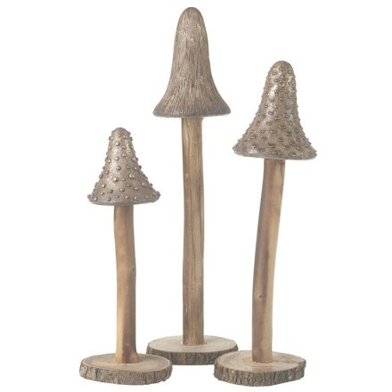 Toadstool Set, 21cm 