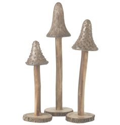 Toadstool Set, 21cm 