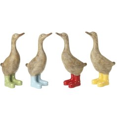 An assortment of 4 resin ducks each wearing polkadot wellington boots. 