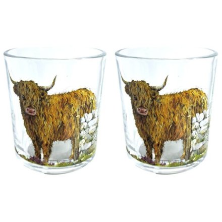 S/2 Jan Pashley Highland Coo Tumblers 350ml