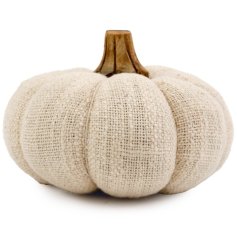 Spook up your space with our charming pumpkin deco