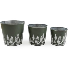 S/3 Sage Tree Xmas Planters