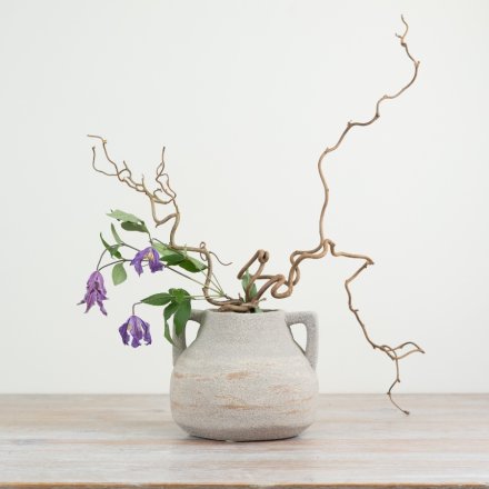 Add a touch of charm to your home décor with this rustic vase featuring two handles for easy carrying.