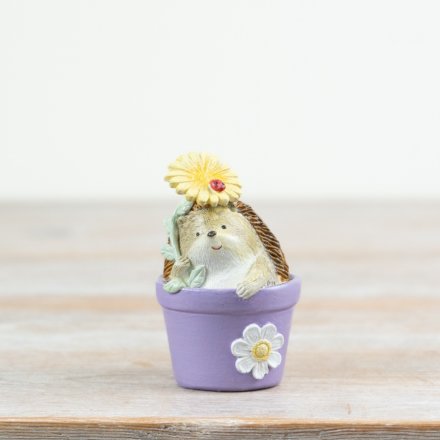 Hedgehog Figurine in Flower Pot, 9cm