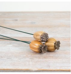Enhance your garden’s charm with the delicate, natural beauty of the Ovary-Flower Garden Stake.