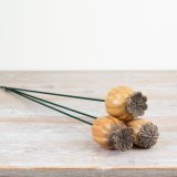 Add a stunning touch of elegance to your home with our unique ovary-flower