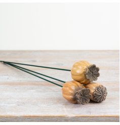 Enhance your home decor with our one-of-a-kind ovary-flower curtains that exude elegance and sophistication.