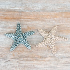 Bring coastal charm to your space with these beautiful starfish accents.