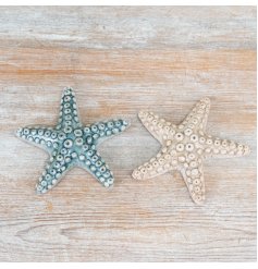 Bring coastal charm to your space with these beautiful starfish decor pieces.
