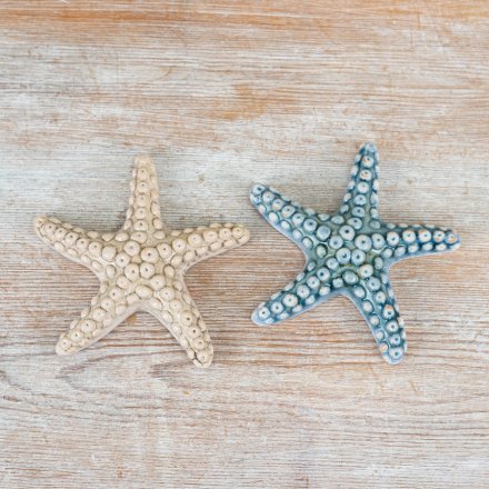12.5cm Blue /Cream Starfish Deco, 2/a