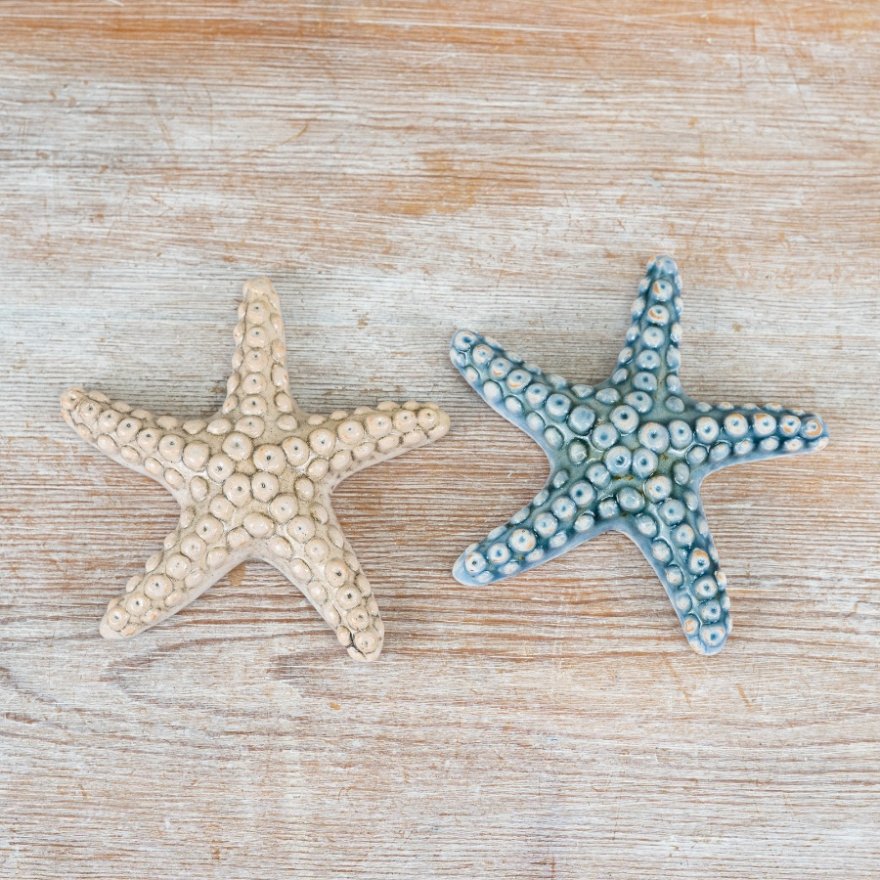 2/A Blue and Cream Starfish Decorations, 12.2 cm