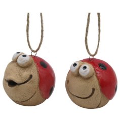 Spread joy and cheer this holiday season with our Smiley Face Ladybug with Hanger