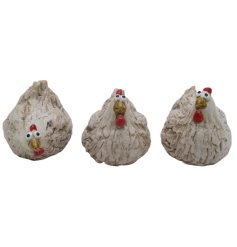 Create rustic charm with this adorable chicken decor perfect for farmhouse-inspired design.