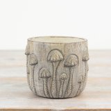 A rustic stone planter, perfect for showcasing small plants or herbs in. 