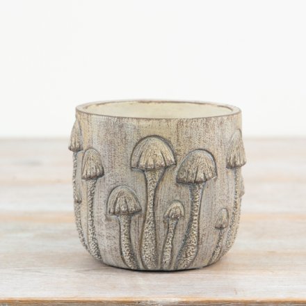 A rustic stone planter, perfect for showcasing small plants or herbs in. 