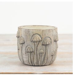 Display greenery in style with this rustic stone planter, ideal for small plants and herbs.