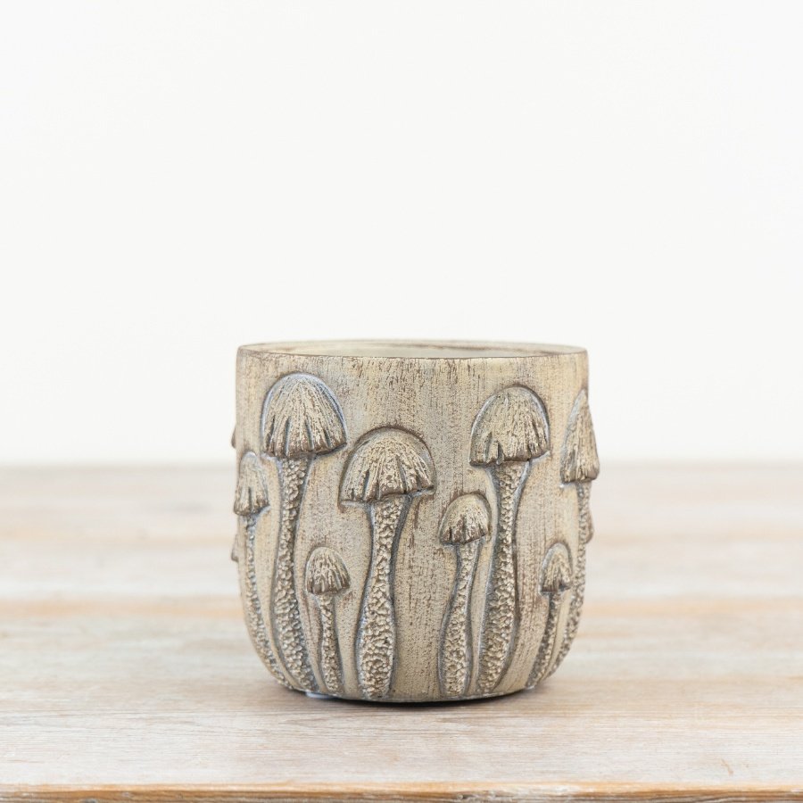 Small herb or plant display planter. Chic and rustic stone design. Ideal for showcasing your greenery in.