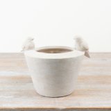 a charming round planter with 3 d birds 