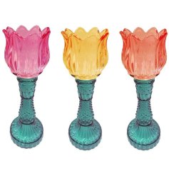 Add warmth and style to your living space with the gorgeous lotus candle holder.