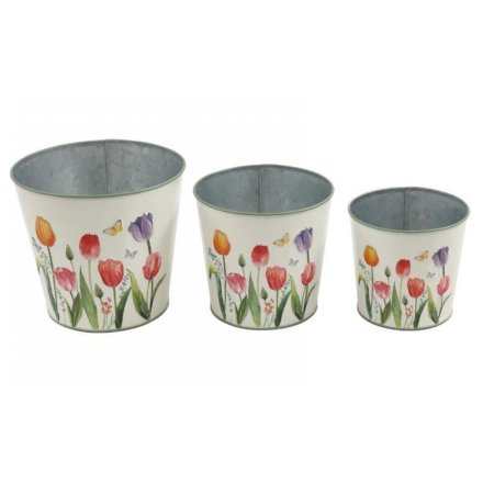Set of 3 Embossed Tulip Planters