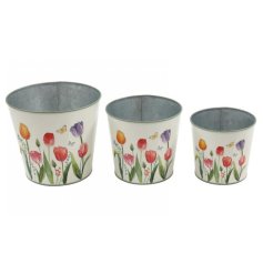 Bring sophistication to your garden with these graceful tulip planters. 