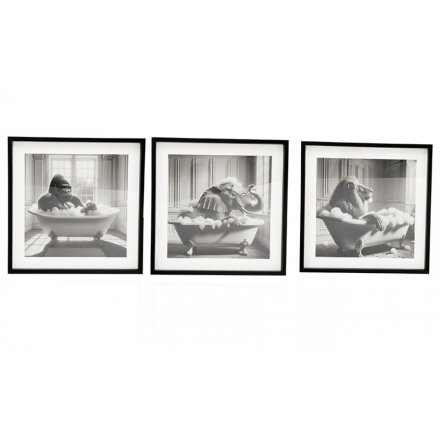 40cm Animal In Bath Frames, 3/A 