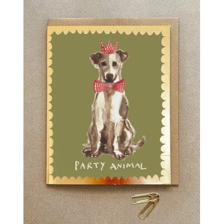 'Party Animal' Dog Greetings Card, 13.8cm 