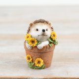 View Hedgehog in Plant Pot Decor, 8cm Details Meet your new favorite garden guest - the Hedgehog In Plant Pot Decor!