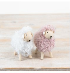 A Soft mix of three woolly sheep in natural, neutral shades.